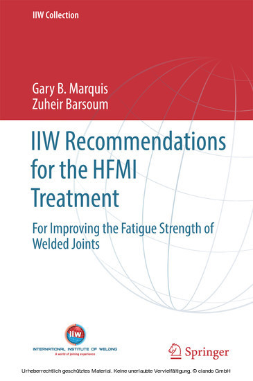 IIW Recommendations for the HFMI Treatment main product photo