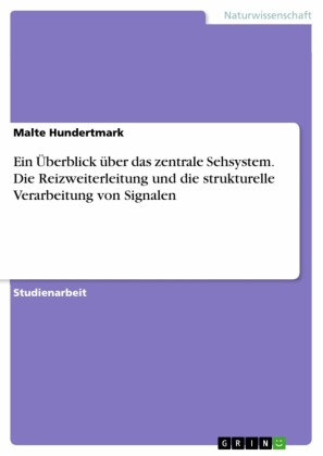 Ein Überblick über das zentrale Sehsystem. Die Reizweiterleitung und die strukturelle Verarbeitung von Signalen