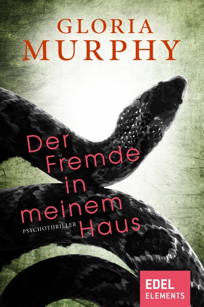 Der Fremde in meinem Haus main product photo