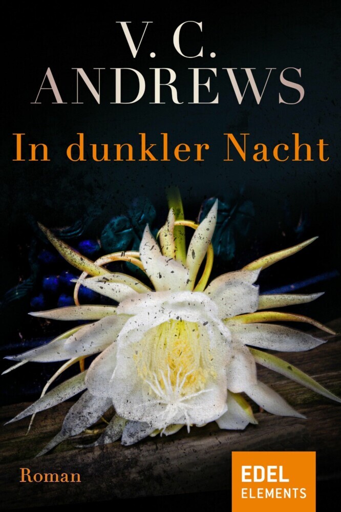 In dunkler Nacht main product photo