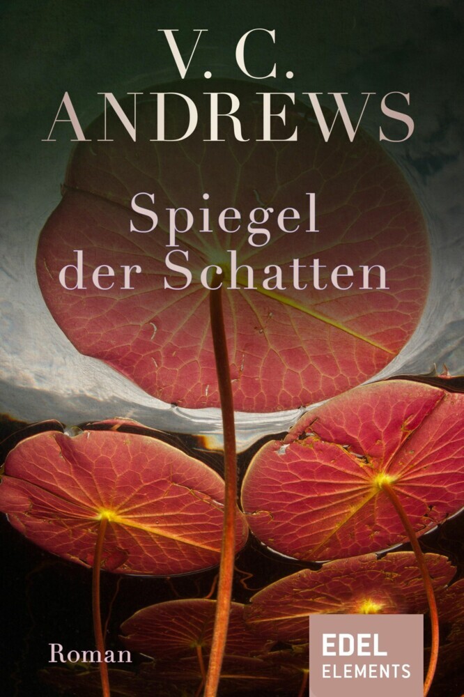 Spiegel der Schatten main product photo