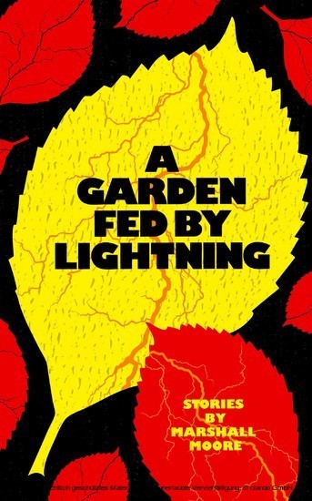 A Garden Fed by Lightning main product photo