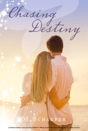 Chasing Destiny