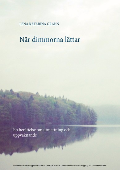 När dimmorna lättar main product photo