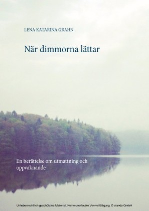 När dimmorna lättar