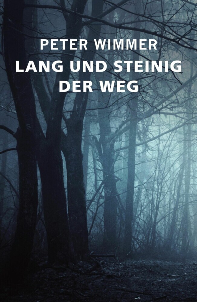 LANG UND STEINIG DER WEG main product photo