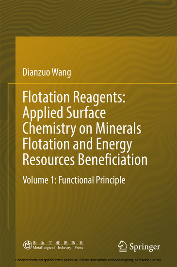 Flotation Reagents: Applied Surface Chemistry on Minerals Flotation and Energy Resources Beneficiation main product photo