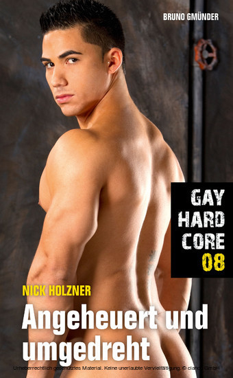 Gay Hardcore 08: Angeheuert und umgedreht main product photo