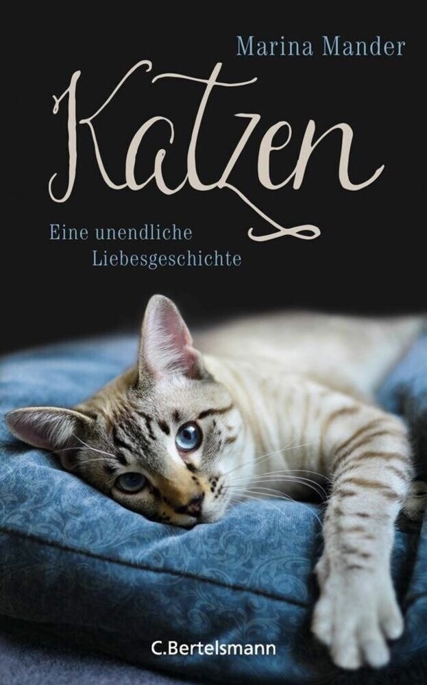 Katzen main product photo