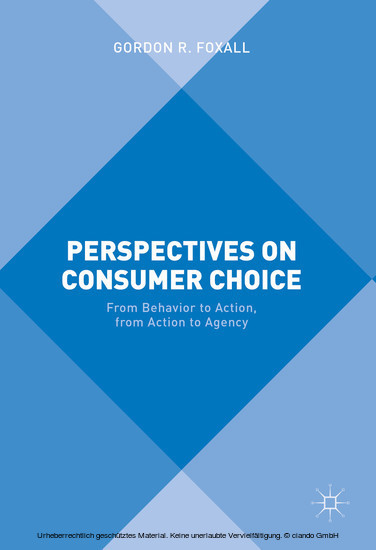 Perspectives on Consumer Choice main product photo
