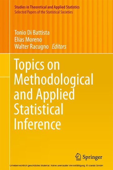 Topics on Methodological and Applied Statistical Inference main product photo