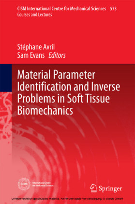 Material Parameter Identification and Inverse Problems in Soft Tissue Biomechanics