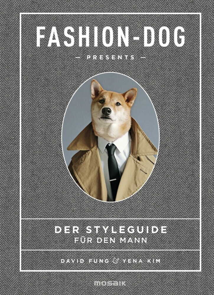 Fashion Dog main product photo