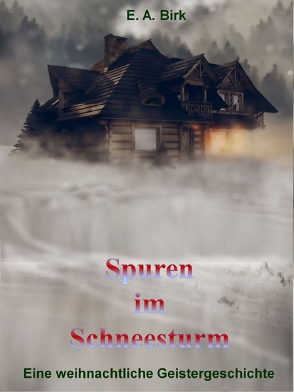 Spuren im Schneesturm main product photo