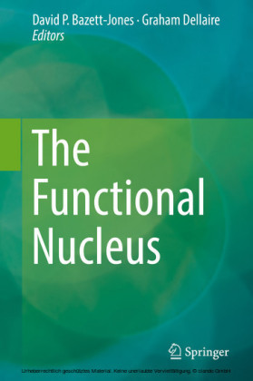 The Functional Nucleus