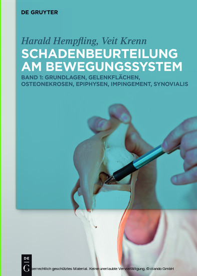 Schadenbeurteilung am Bewegungssystem main product photo