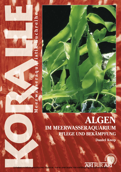 Algen im Meerwasseraquarium main product photo