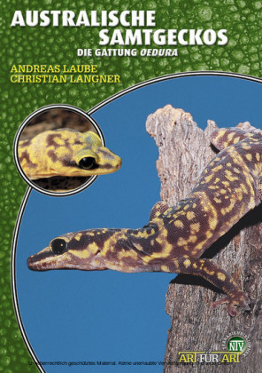 Australische Samtgeckos