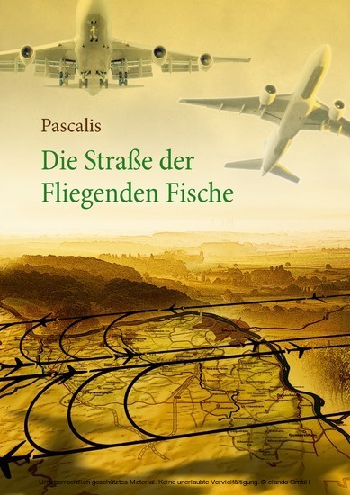 Die Straße der Fliegenden Fische main product photo