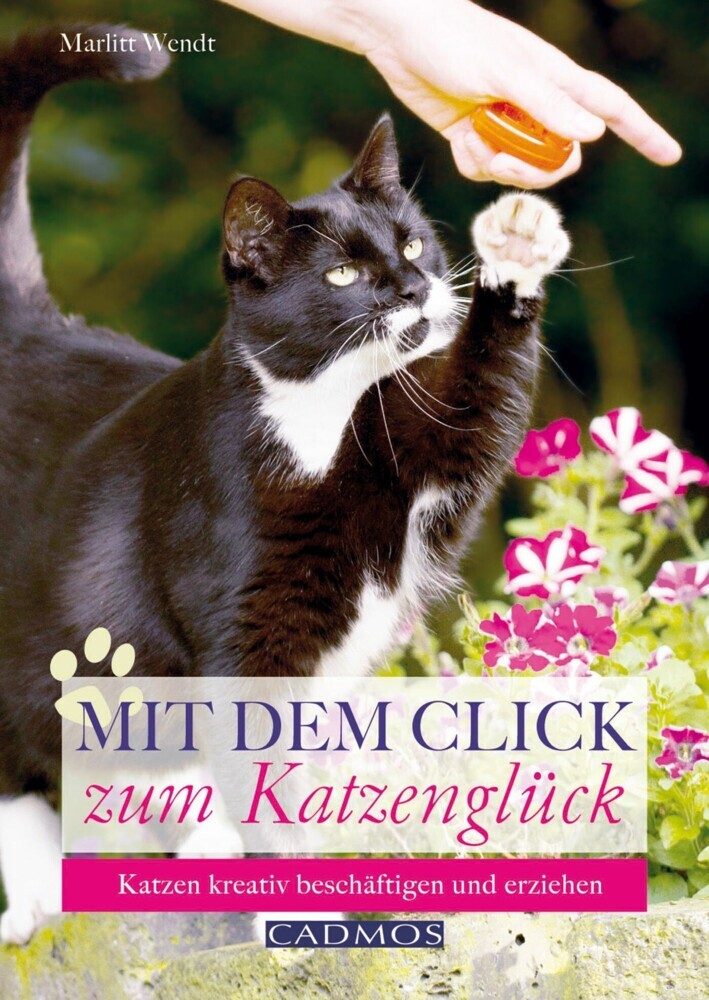 Mit dem Click zum Katzenglück main product photo