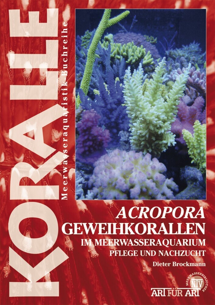 Acropora-Geweihkorallen im Meerwasseraquarium main product photo