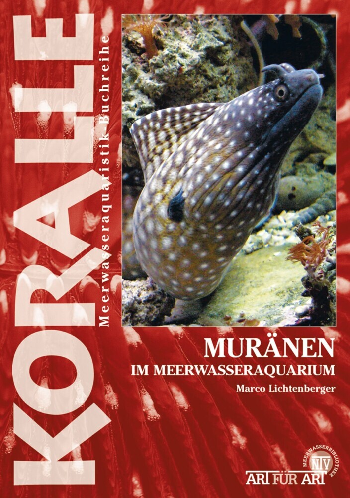 Muränen im Meerwasseraquarium main product photo