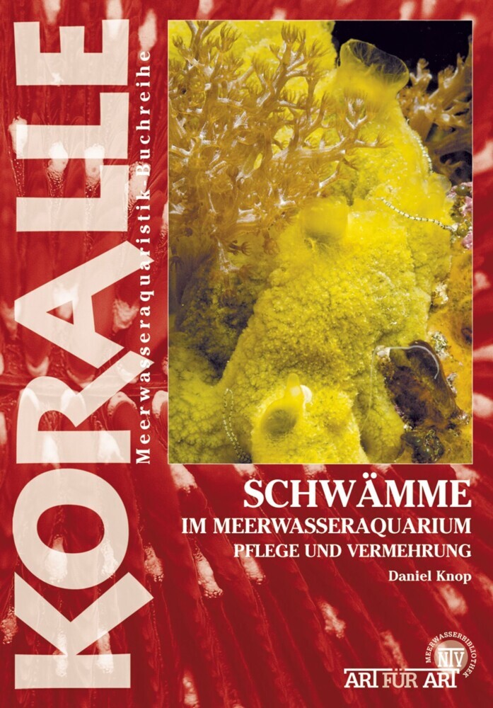 Schwämme im Meerwasseraquarium main product photo