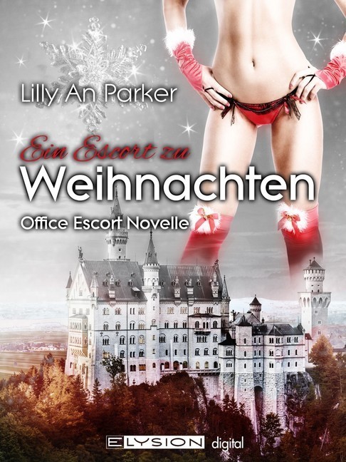 Ein Escort zu Weihnachten main product photo