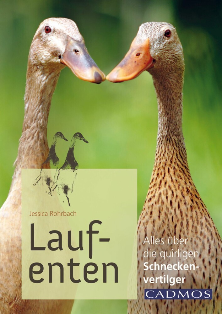 Laufenten main product photo