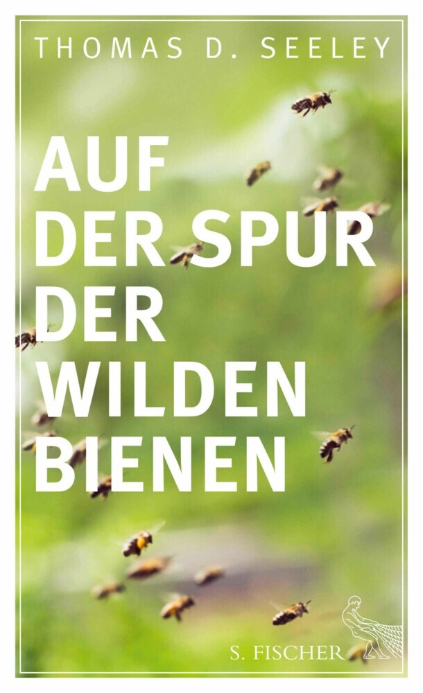Auf der Spur der wilden Bienen main product photo
