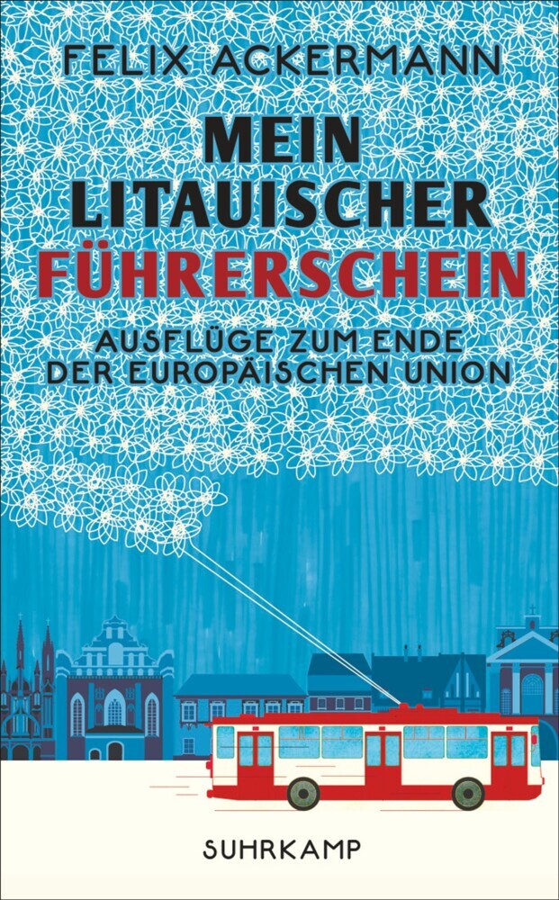 Mein litauischer Führerschein main product photo