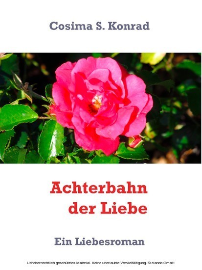 Achterbahn der Liebe main product photo