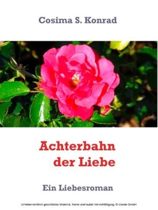 Achterbahn der Liebe
