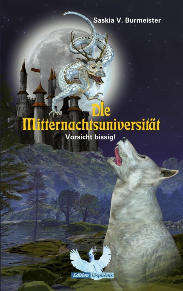 Die Mitternachtsuniversität main product photo
