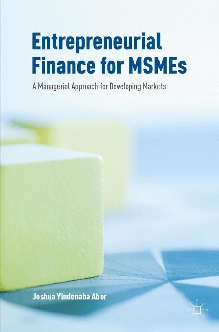 Entrepreneurial Finance for MSMEs main product photo