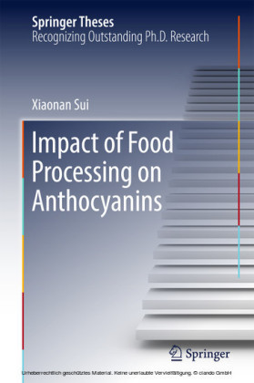 Impact of Food Processing on Anthocyanins