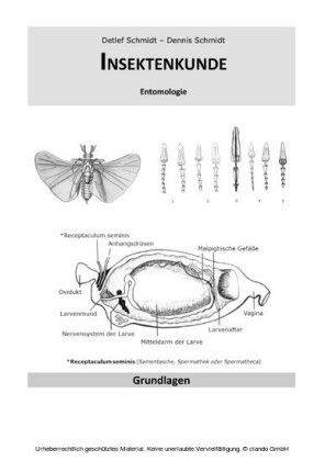 Insektenkunde
