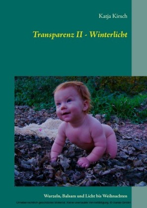 Transparenz II - Winterlicht