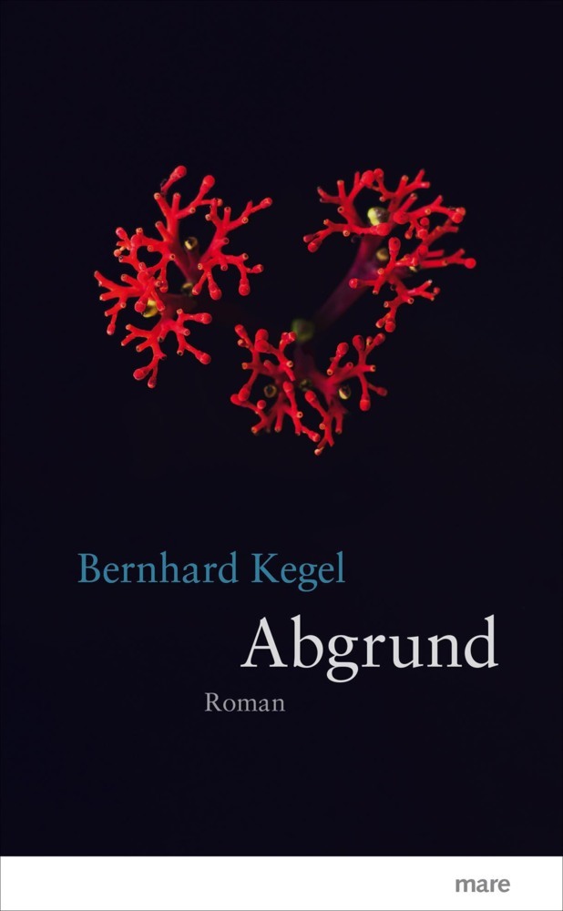 Abgrund main product photo