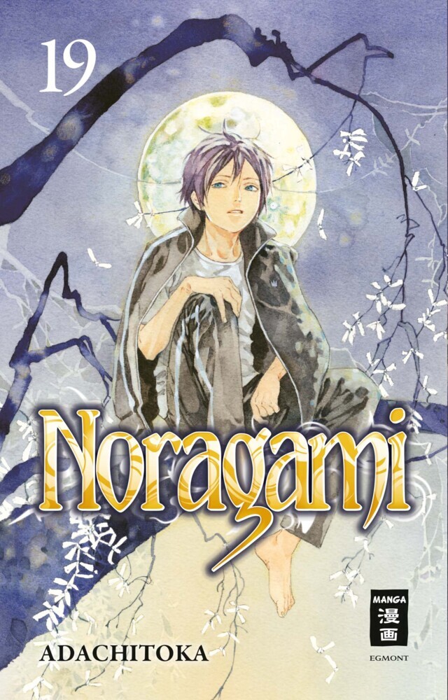 Noragami 19 main product photo