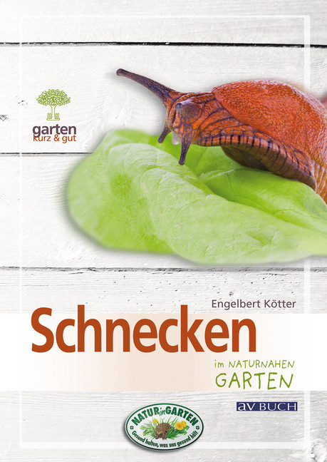 Schnecken main product photo