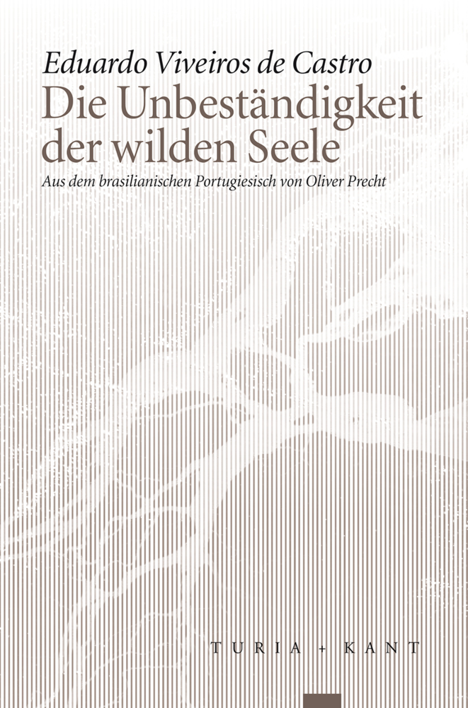 Die Unbeständigkeit der wilden Seele main product photo