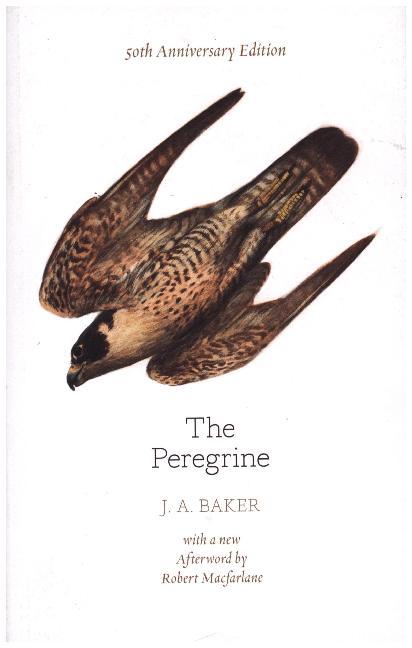 The Peregrine: 50th Anniversary Edition main product photo