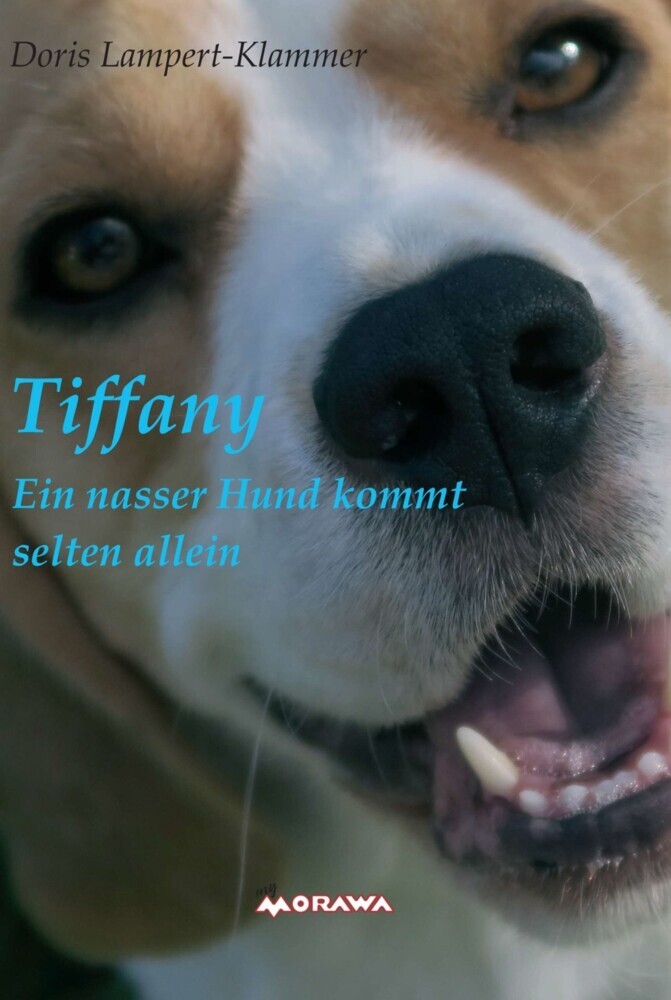 Tiffany, ein nasser Hund kommt selten allein main product photo