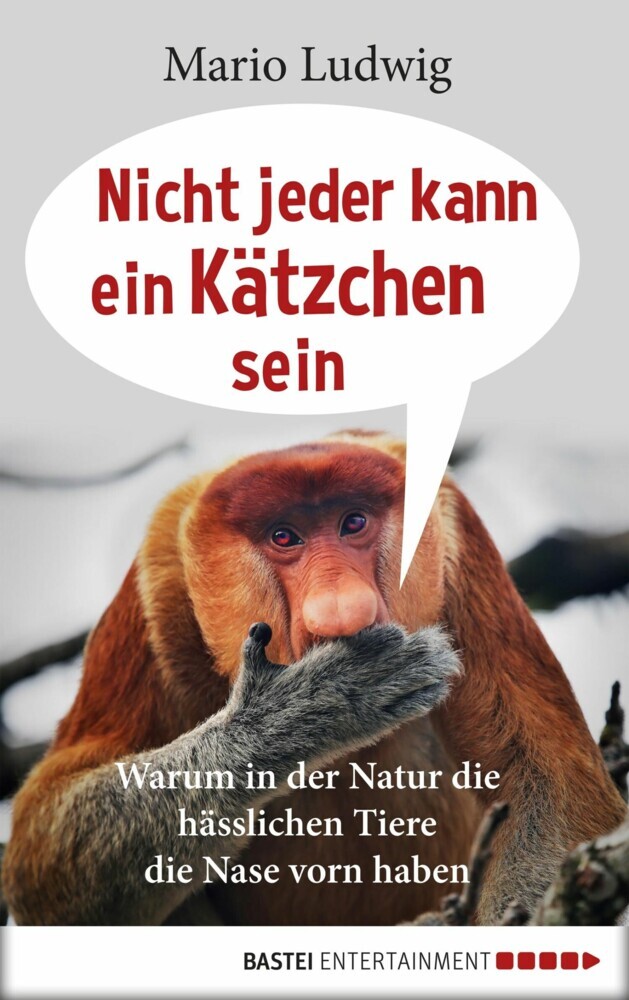 Nicht jeder kann ein Kätzchen sein main product photo