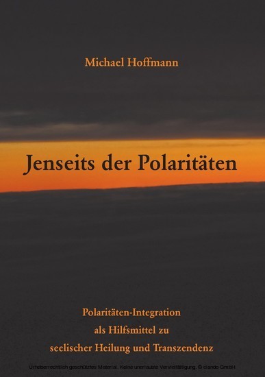 Jenseits der Polaritäten main product photo