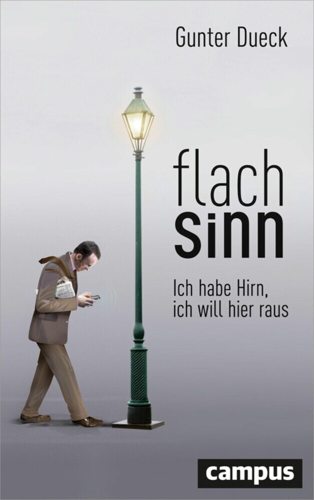 Flachsinn main product photo