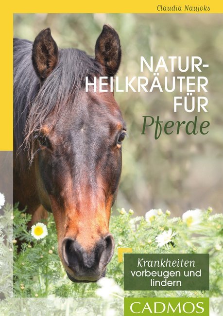 Naturheilkräuter für Pferde main product photo