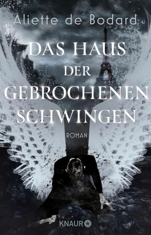 Das Haus der gebrochenen Schwingen main product photo
