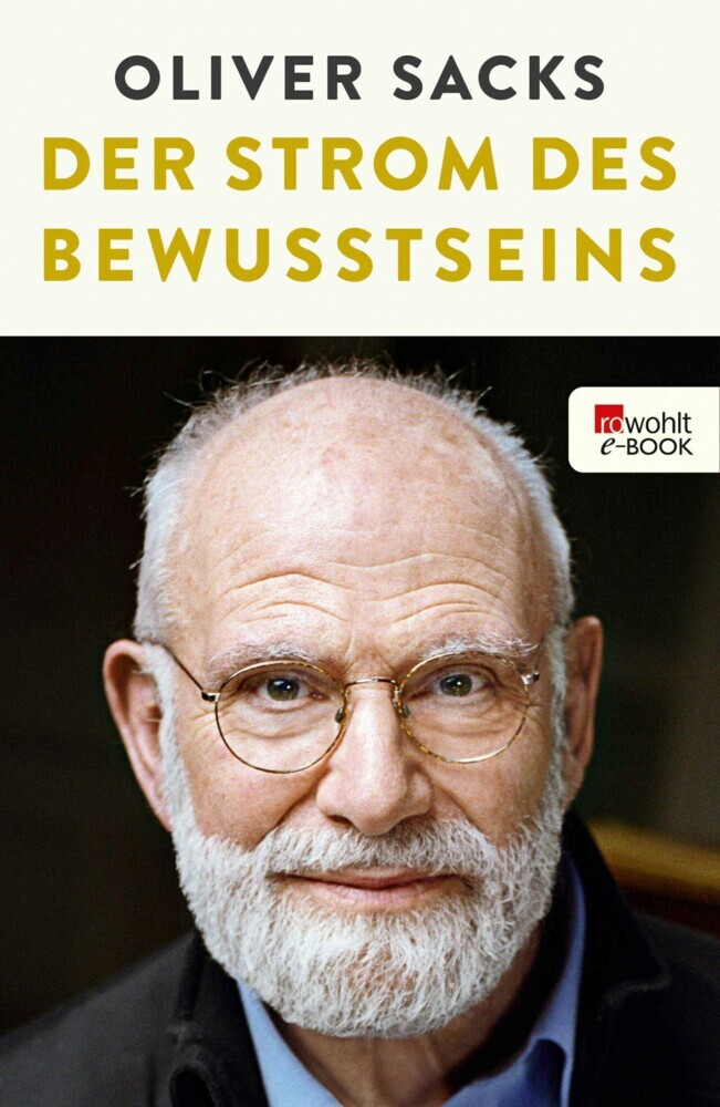 Der Strom des Bewusstseins main product photo